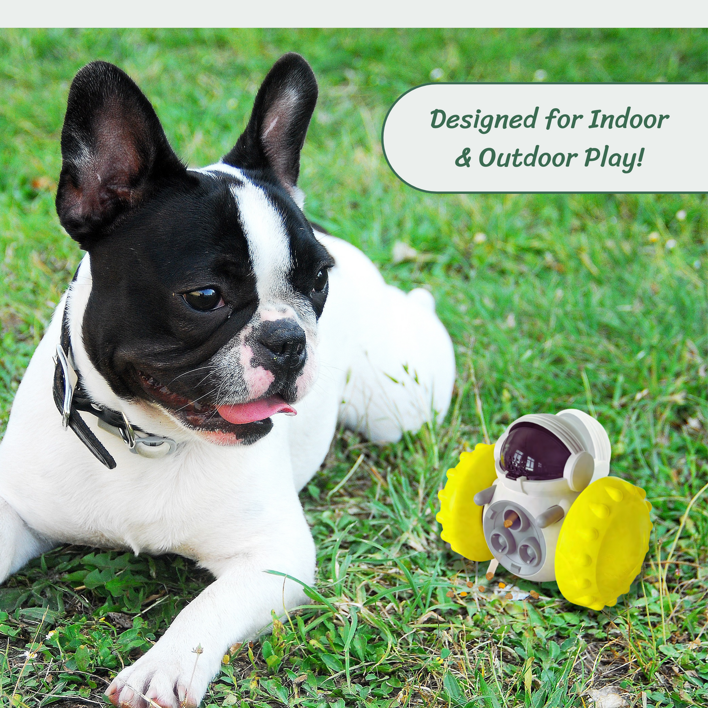 Hybrid Treat Tumbler